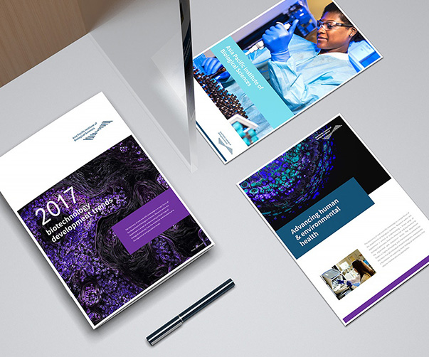 出色的用户体验背后的设计心理学和神经科学