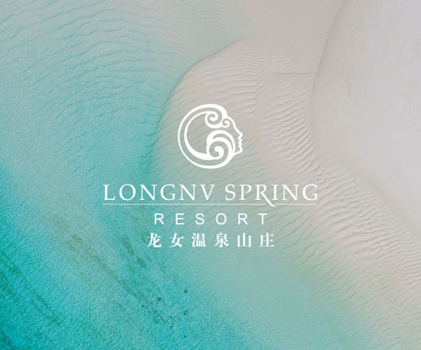 VI设计手册如何指导企业在医疗健康行业中建立专业的品牌形象？