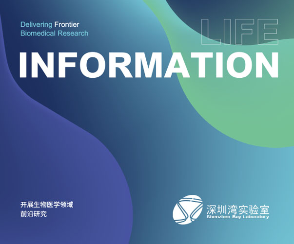 要么创新，要么出局：上？焓鄙衅放粕杓频乃嘉晃